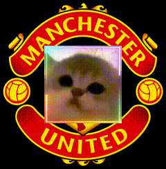 A Manchester United Logo With A Cat On It GIF