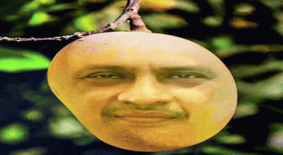 A Mango With A Man 'S Face On It Is Hanging From A Tree Branch GIF