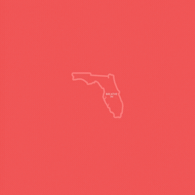 A Map Of The State Of Florida With The Words Protect Voting Rights In Florida Below It GIF