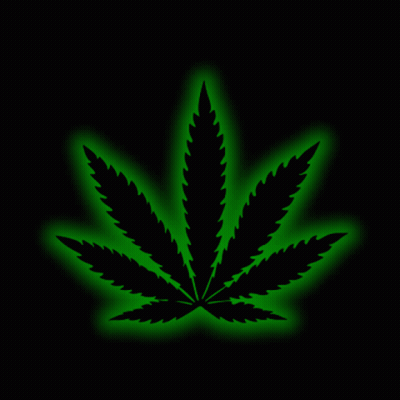 A Marijuana Leaf That Is Glowing Green GIF