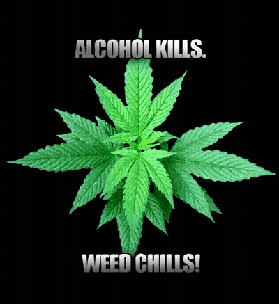 A Marijuana Leaf With The Words Alcohol Kills Weed Chills GIF