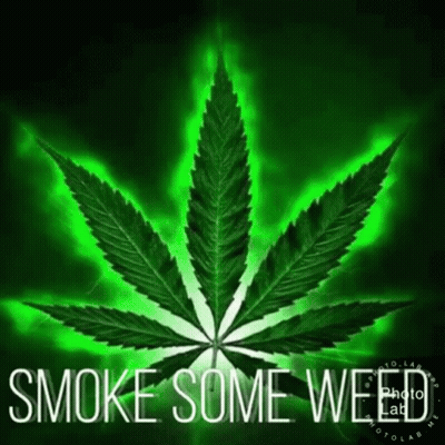 A Marijuana Leaf With The Words `` Smoke Some Weed '' Written Below It GIF