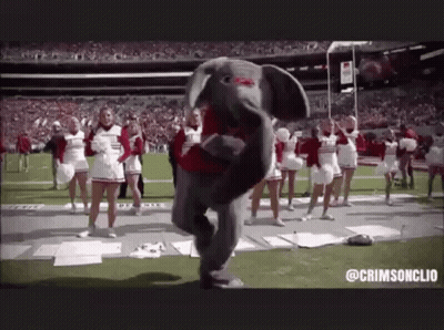 A Mascot Elephant Is Dancing On A Football Field With Cheerleaders . GIF