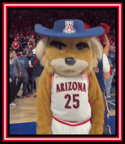 A Mascot For The Arizona Basketball Team Is Wearing A Blue Cowboy Hat GIF