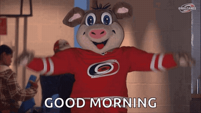 A Mascot For The Carolina Hurricanes Says Good Morning With His Arms Outstretched GIF