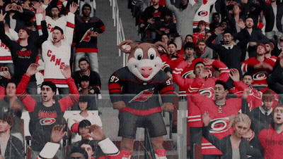 A Mascot For The Carolina Hurricanes Stands In Front Of A Crowd Of Fans GIF