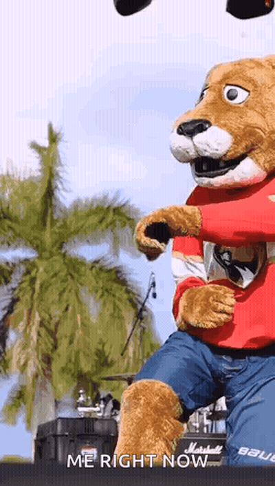 A Mascot For The Florida Panthers Is Dancing On A Stage GIF