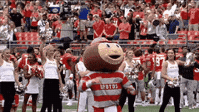 A Mascot For The Ohio State Football Team Is On The Field GIF