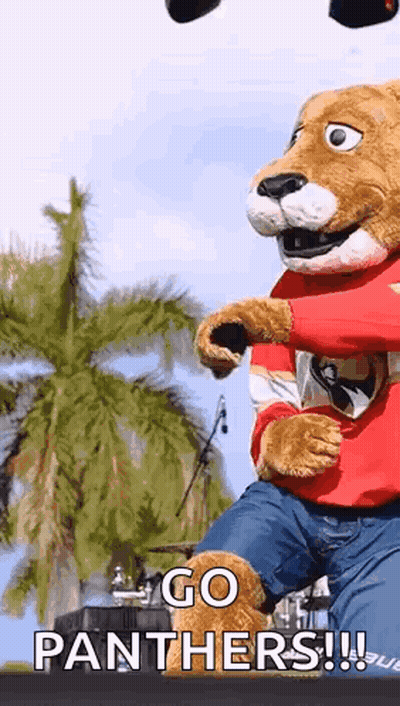 A Mascot For The Panthers Is Jumping In The Air And Says Go Panthers GIF