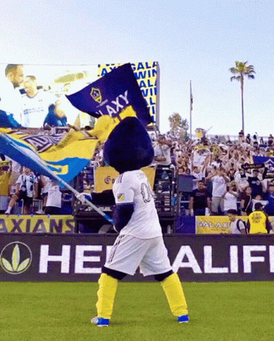 A Mascot Holding A Flag That Says " Galaxy " On It GIF