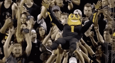 A Mascot Is Being Thrown In The Air By A Crowd Of Fans . GIF
