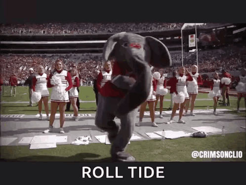 A Mascot Is Dancing On A Football Field With Cheerleaders . GIF