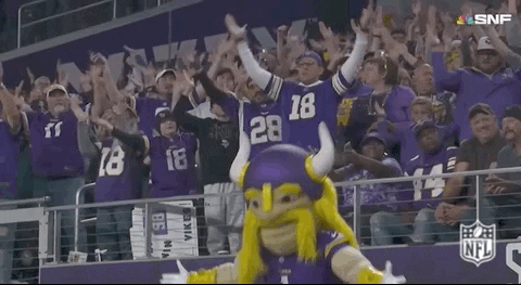 A Mascot Is Standing In Front Of A Crowd Of Fans . GIF