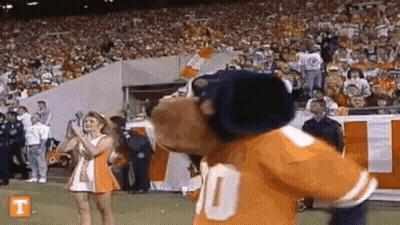 A Mascot Is Standing On A Football Field With A Cheerleader . GIF