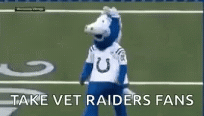 A Mascot Is Standing On A Football Field With The Words `` Take Vet Raiders Fans '' . GIF