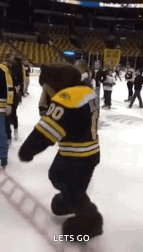 A Mascot Is Standing On A Hockey Rink And Says Let 'S Go GIF