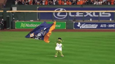A Mascot Is Waving A Champions Flag On A Baseball Field GIF