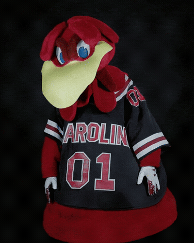 A Mascot Is Wearing A Jersey That Says Carolina 01 On It GIF