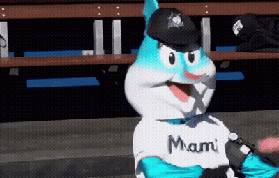 A Mascot Is Wearing A Miami Shirt And A Black Hat GIF