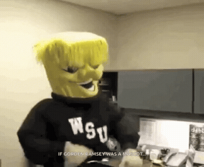 A Mascot Is Wearing A Wsu Sweatshirt And A Mask . GIF