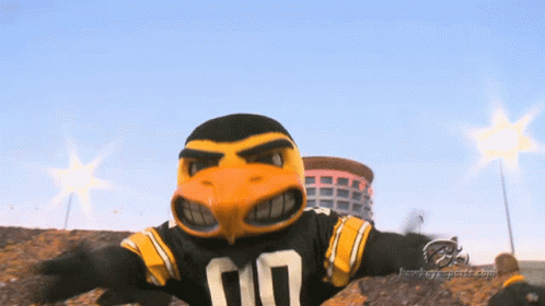 A Mascot Wearing A Black And Yellow Jersey With The Number 10 On It GIF