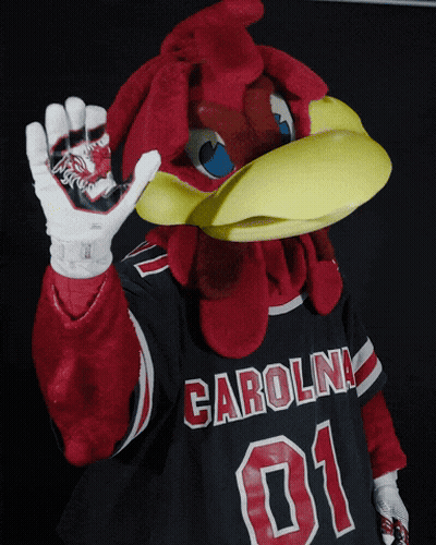 A Mascot Wearing A Carolina 01 Jersey And Gloves GIF