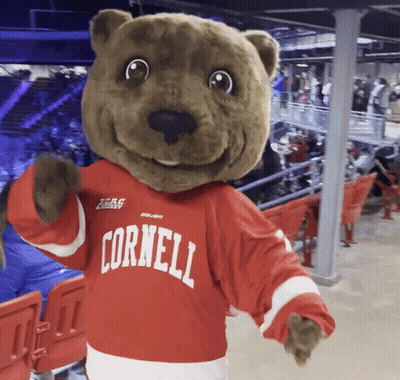 A Mascot Wearing A Cornell Jersey Stands In A Stadium GIF