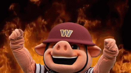 A Mascot Wearing A Helmet That Says Wy On It GIF