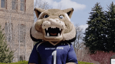 A Mascot Wearing A Montana State Jersey With The Number 1 GIF