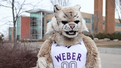 A Mascot Wearing A Weber Jersey With The Number 00 On It GIF