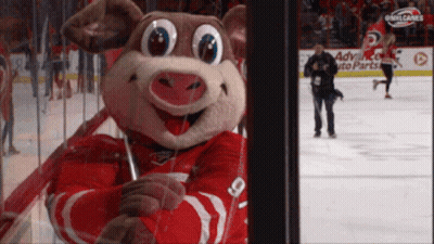 A Mascot With The Number 9 On The Back Of His Shirt GIF