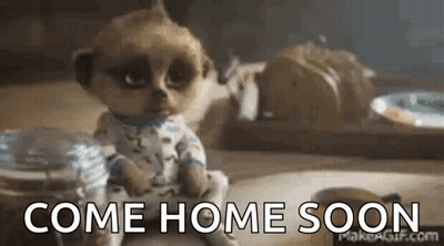 A Meerkat Doll Is Sitting On A Table And Says `` Come Home Soon '' . GIF