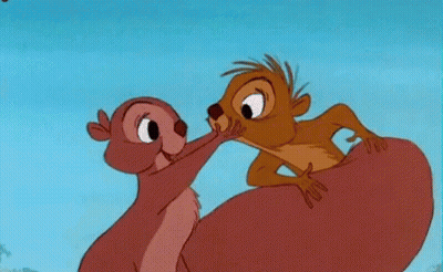 A Meerkat Is Kissing Another Meerkat On The Cheek . GIF
