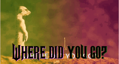 A Meerkat Is Standing On A Hill With The Words Where Did You Go GIF