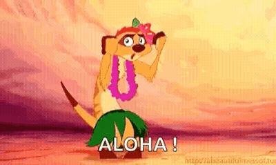 A Meerkat Is Wearing A Lei And A Hula Skirt And Dancing . GIF