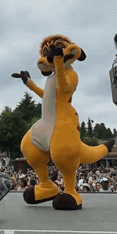 A Meerkat Mascot Is Standing On A Stage In Front Of A Crowd . GIF