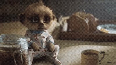 A Meerkat Sits Next To A Cup Of Coffee GIF