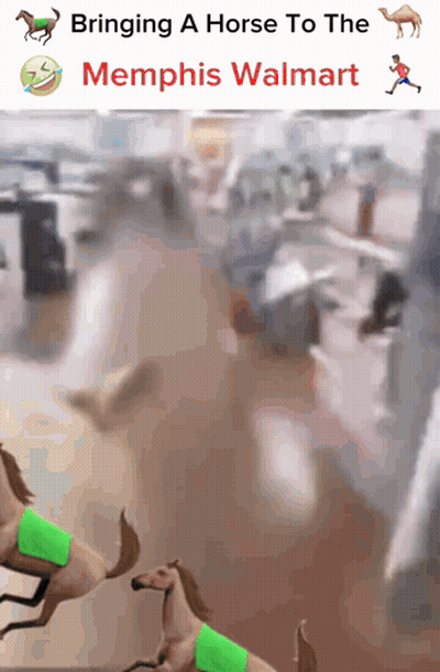 A Meme About Bringing A Horse To The Memphis Walmart GIF