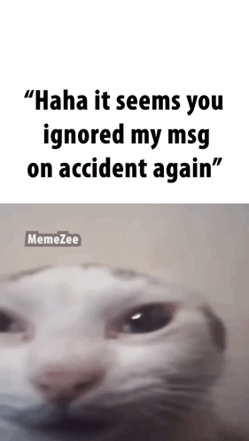 A Meme Of A Cat With A Caption That Says " Haha It Seems You Ignored My Msg On Accident Again " GIF