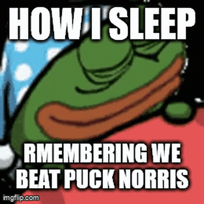 A Meme Of A Frog Sleeping With The Words How I Sleep Remembering We Beat Puck Norris GIF