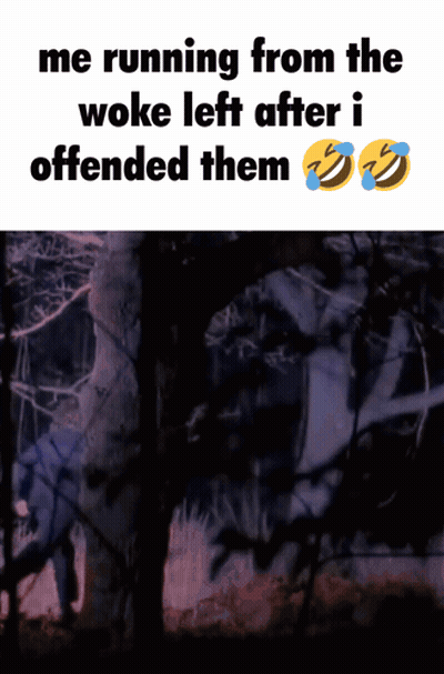 A Meme Of A Person Running From The Woke Left After I Offended Them GIF