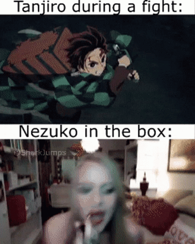 A Meme Of Tanjiro During A Fight Next To A Picture Of Nezuko In The Box GIF