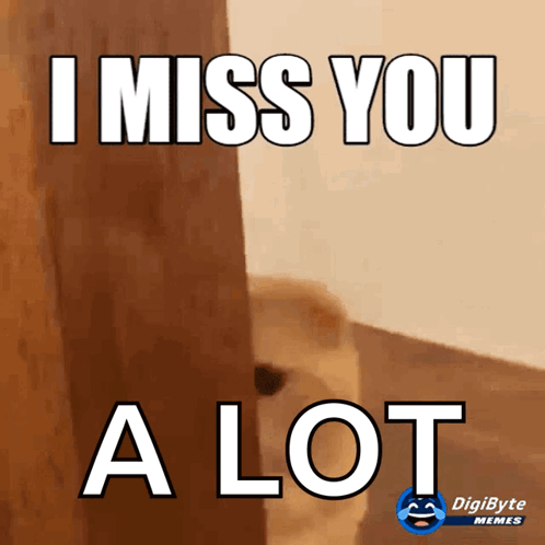 A Meme That Says I Miss You A Lot With A Dog In The Background GIF