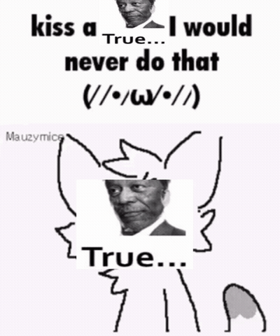 A Meme That Says Kiss A True I Would Never Do That True GIF