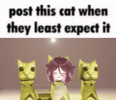 a meme that says post this cat when they least expect it on it
