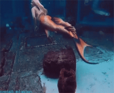 A Mermaid Is Swimming In A Pool With The Words Mermaids And Anchors Written On The Bottom GIF