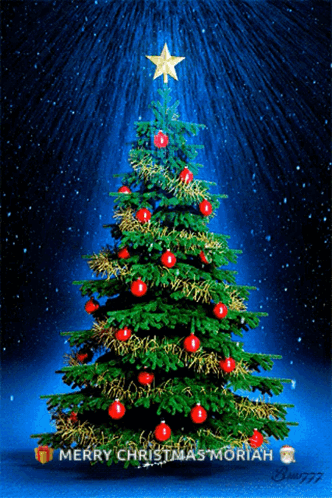 A Merry Christmas Card With A Christmas Tree With Red Ornaments GIF