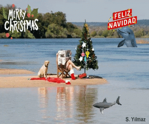 A Merry Christmas Greeting Card With A Shark And A Dog GIF