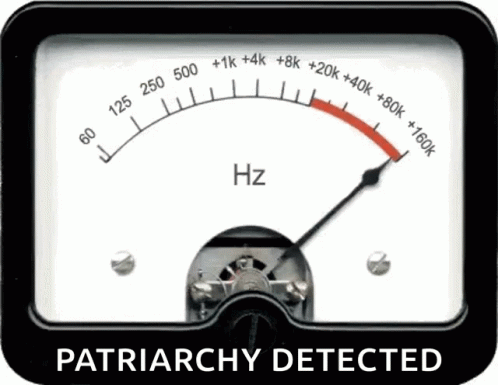 A Meter With The Word Patriarchy Detected On It GIF