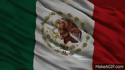 A Mexican Flag With An Eagle On It Is Waving In The Wind GIF